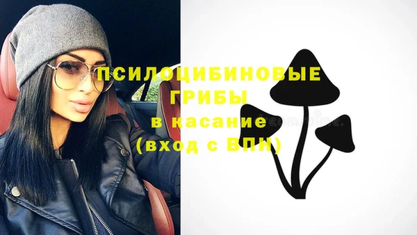 гидра Белоозёрский