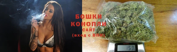 a pvp Белокуриха