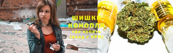амф Богородицк