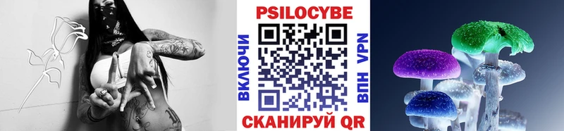 Псилоцибиновые грибы прущие грибы  где найти   Демидов 